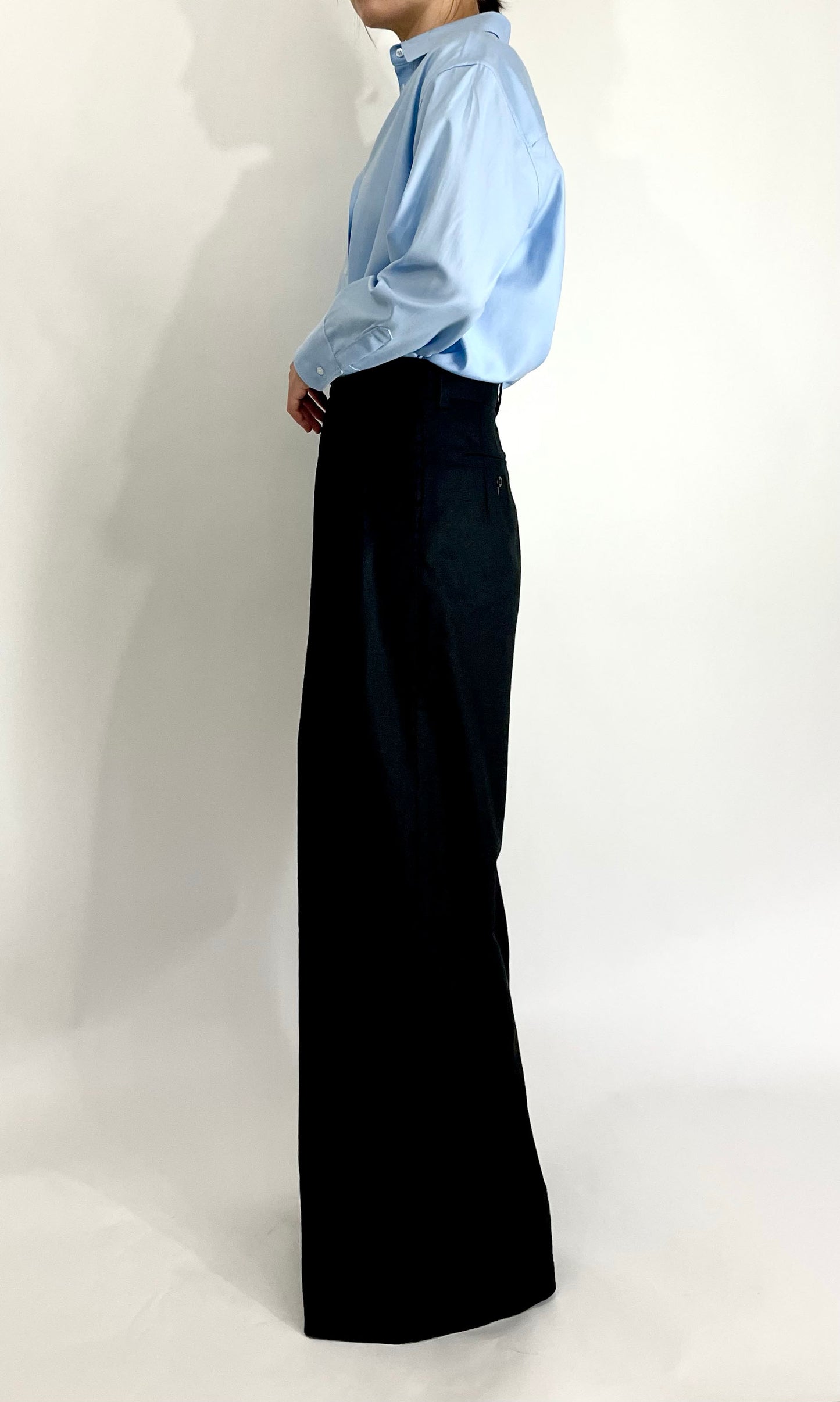 Wide Leg Pleated Pants